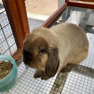 Meet your Posher, Jayme